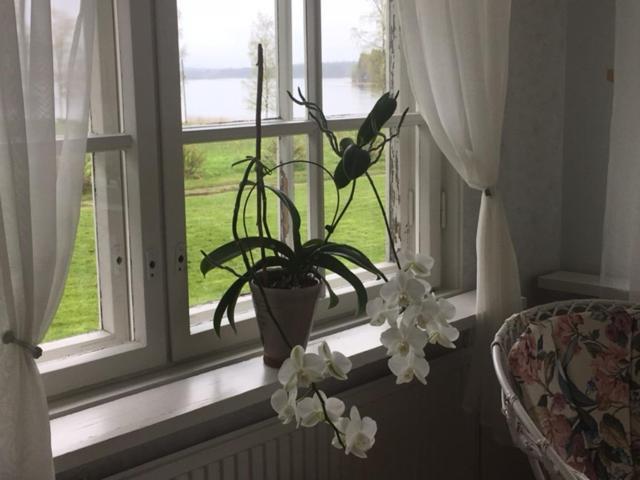 Lomatila Ollila Farm Stay Kerimäki Esterno foto