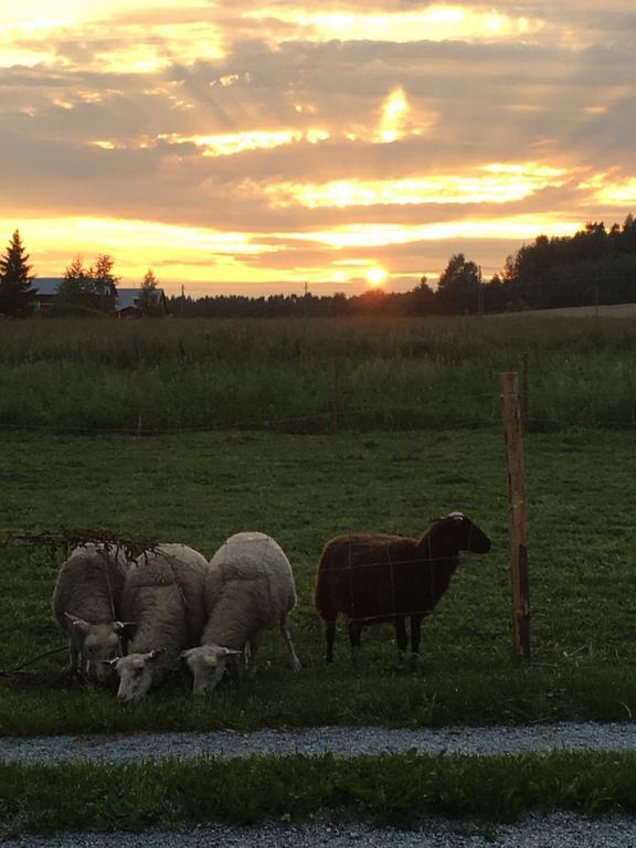 Lomatila Ollila Farm Stay Kerimäki Esterno foto